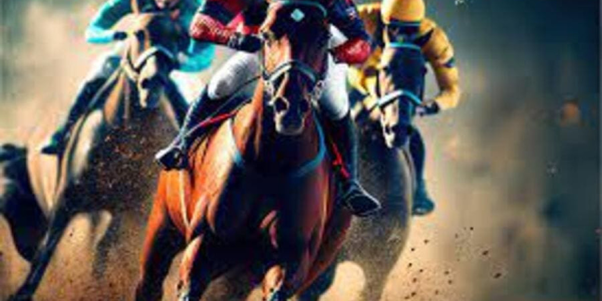 Ultimate Guide to Gambling Site