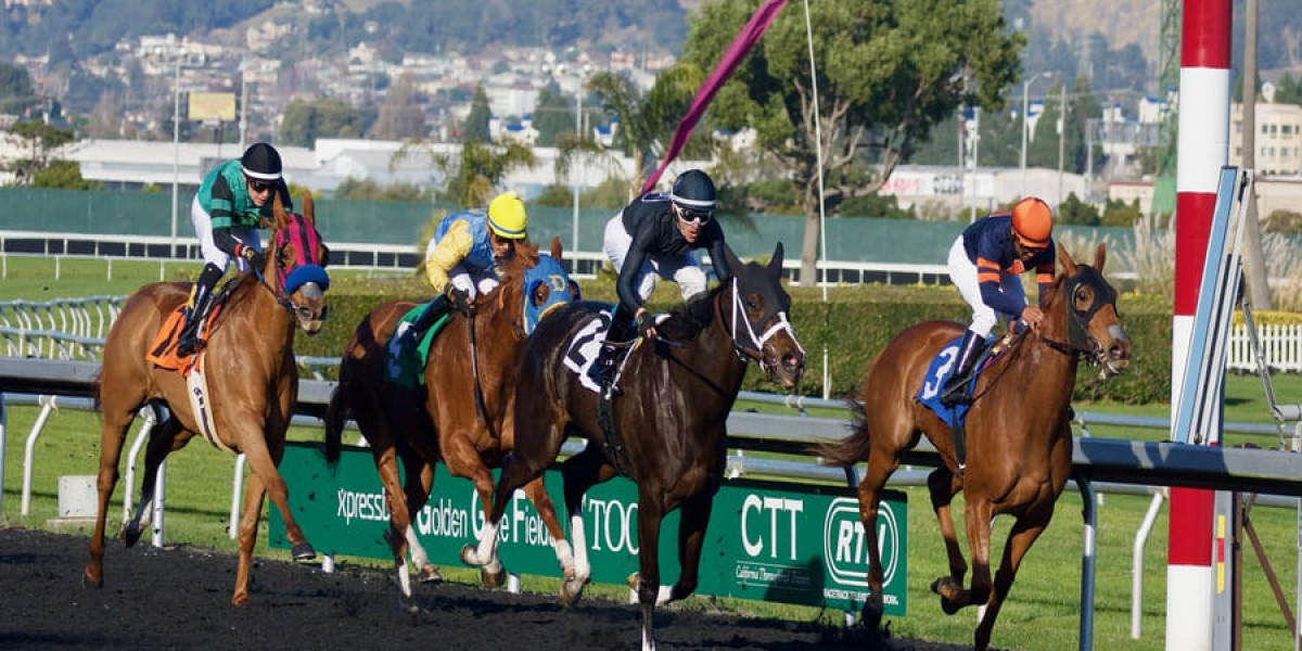 Exploring the Exciting World of Sports Gambling