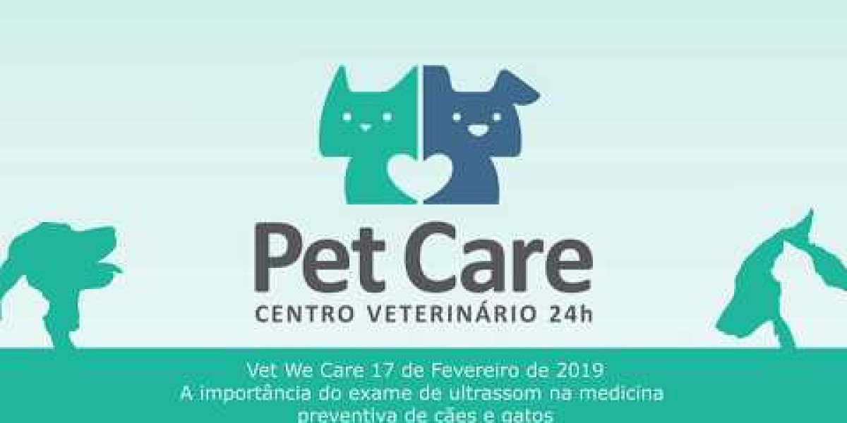How Much Does a Vet Visit Cost? 2024