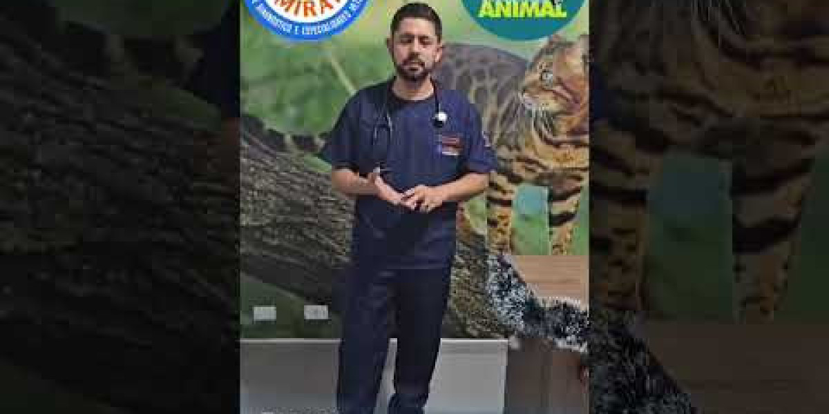 Clinical Management of Avian Renal Disease PMC