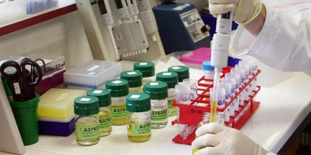 Kidney Dialysis: Is It for Your Pet? VIN