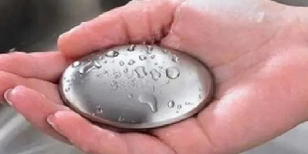 Stainless Steel Soap Market: Niche Growth Expected at 5% CAGR