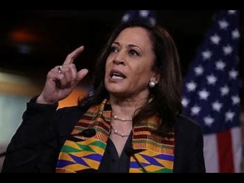 BLACK Man Says KAMALA HARRIS Is DETRIMENTAL To BLACK AMERICA! Wake Up! #youtubeshorts #short #yt - YouTube