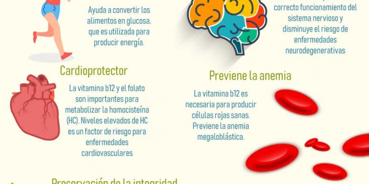 Polper B12 engorda?