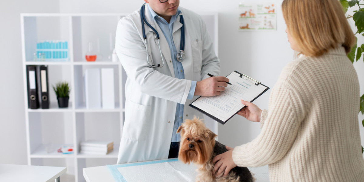 Future Prospects of Pet Insurance Market | 2024 - 2032