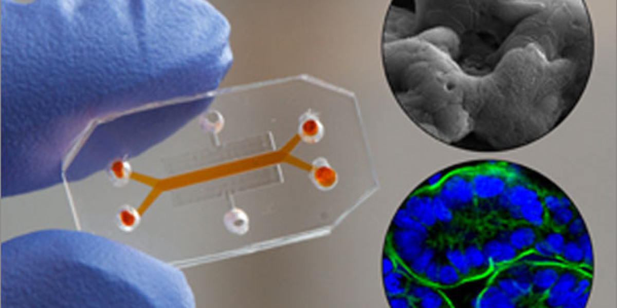 Heart on a Chip Market Analysis, Size, Share, Growth, Trend And Forecast Till 2032