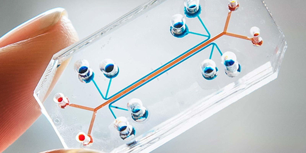 Lung On A Chip Market To Increase At Steady Growth Rate Till 2032