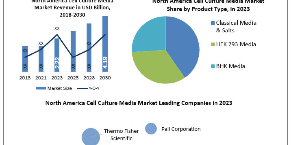 North America Cell Culture Media Market Size, Share, Revenue Rendezvous: Worth Statistics Overview | 2024-2030