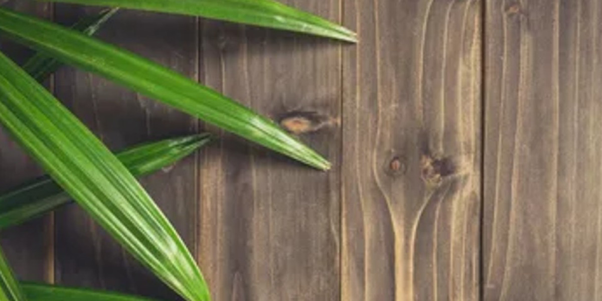 Warum Revolution Casino wählen?