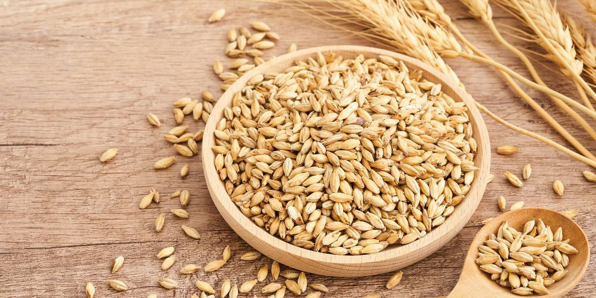 Explora el Mercado de Granos: Tendencias Globales, Oportunidades y el Futuro de la Agricultura