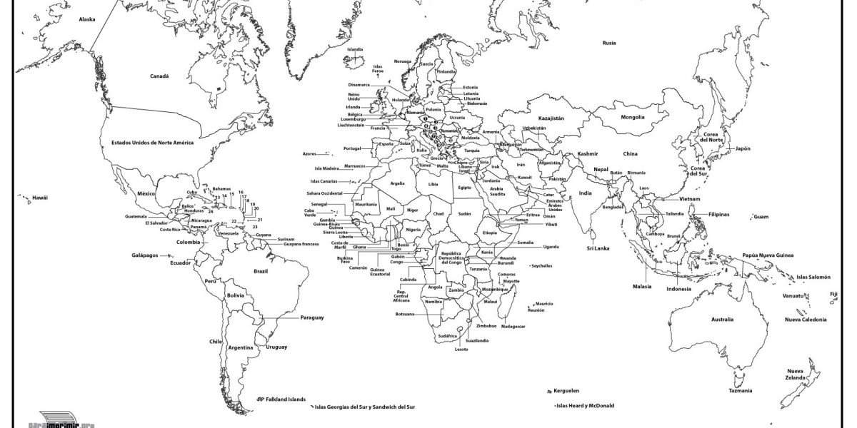 Revela la Gelatina Más Saludable en México: Sabor y Confort en Cada Cucharada