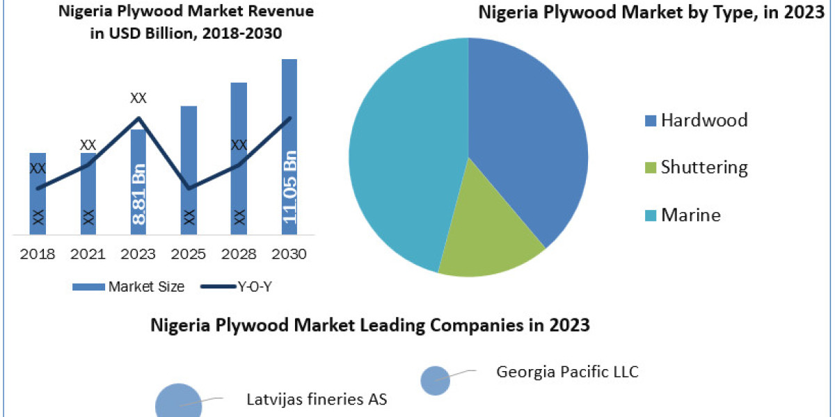 Nigeria Plywood Market Beyond the Basics: Size, Share, Revenue, and Statistics Overview | 2024-2030