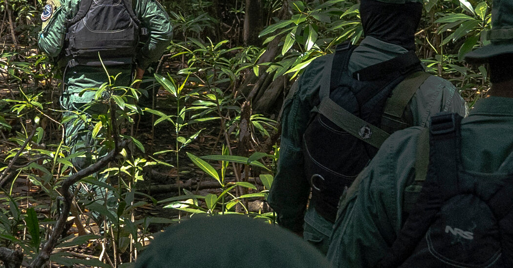 How a Tourist Paradise Became a Drug-Trafficking Magnet - The New York Times