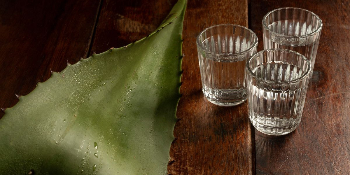 Todo sobre el Mercado de Mezcal: Tendencias, Variedades y Lo que Está en Alza