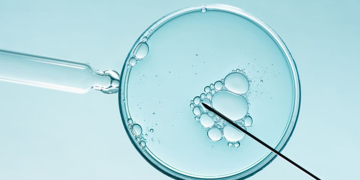 Revolucionando la Salud: Explorando el Mercado de Diagnóstico In-Vitro en México