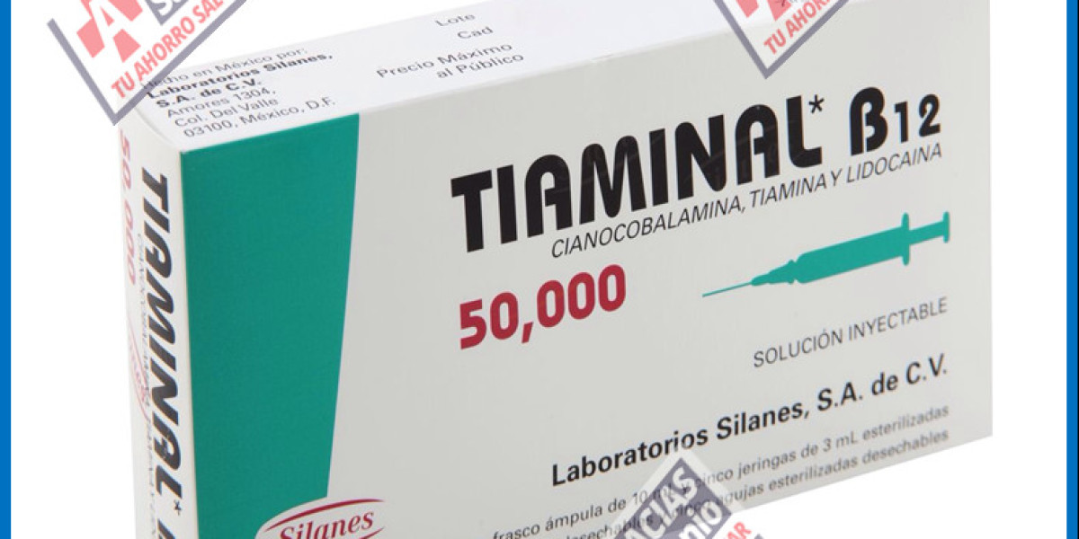 Cómo Cuidar El Romero Todos Los Cuidados De Esta Planta