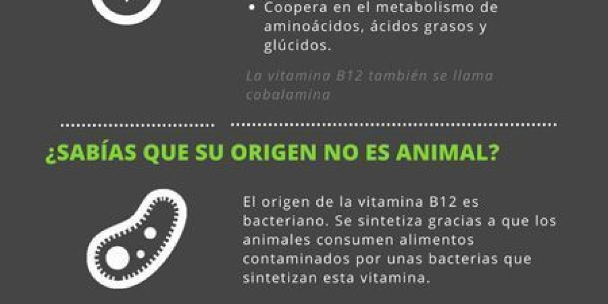 10 razones saludables para agregar la gelatina como un básico a tu alimentación