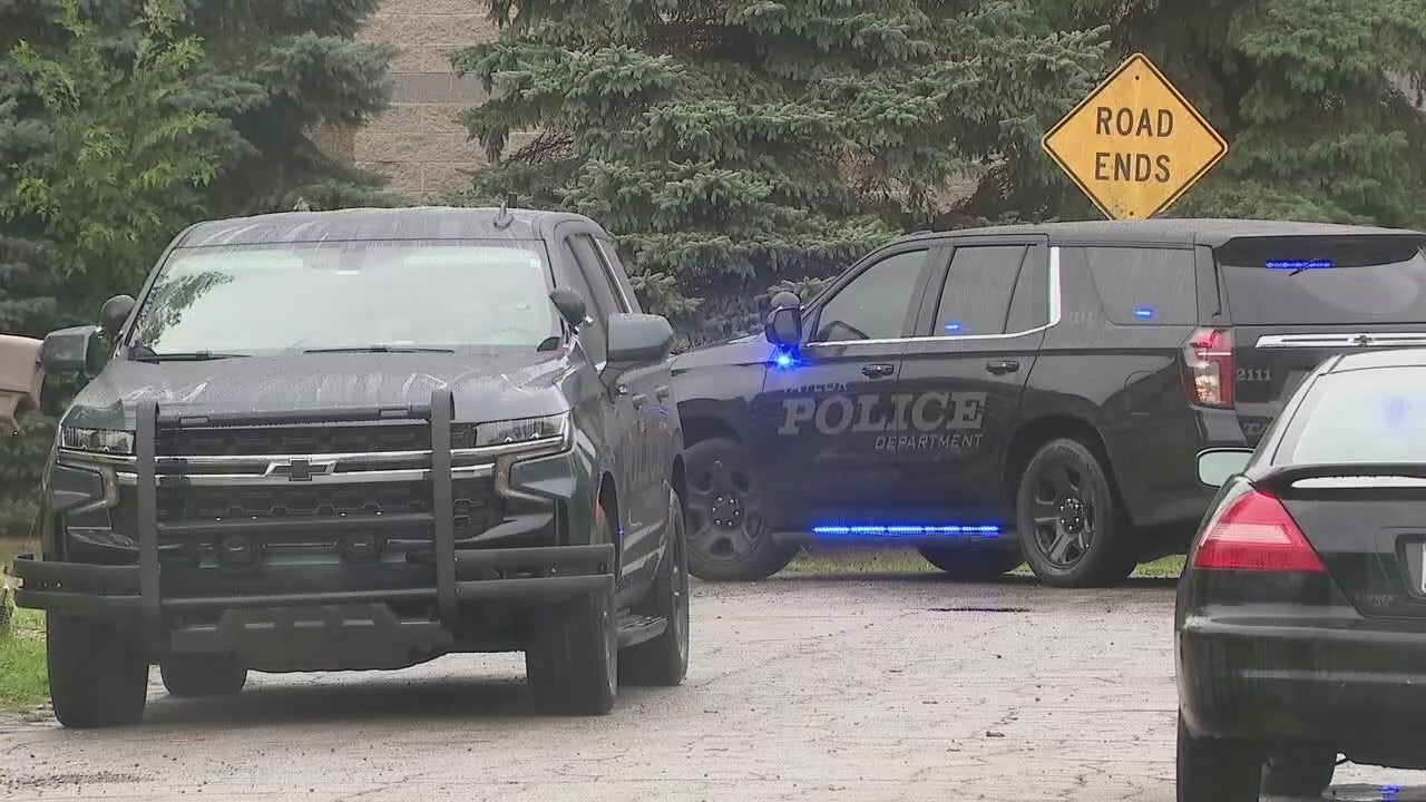 Michigan girl, 7, stabbed to death; 13-year-old sister in custody: police | Fox News