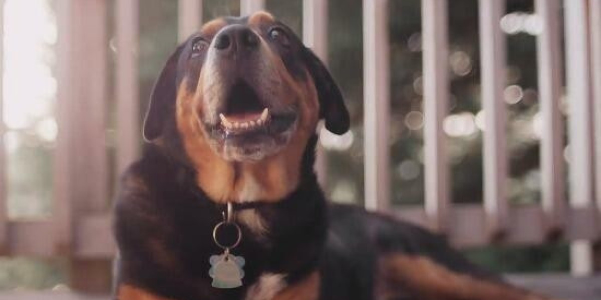 How is that For Flexibility?