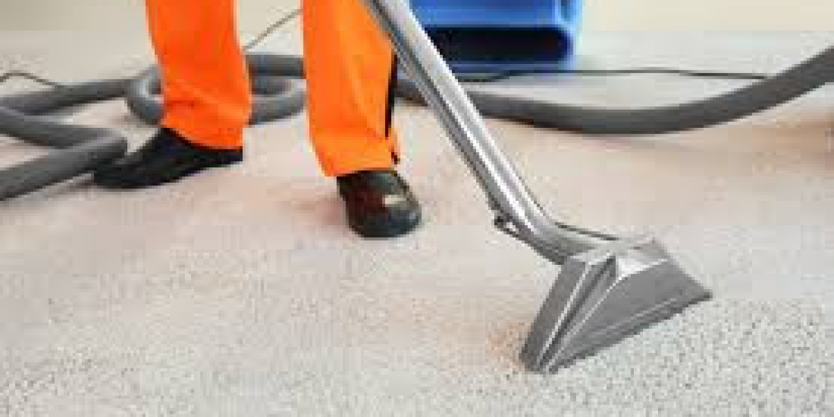 ﻿﻿How Expert Carpet Cleaning Improves Home Comfort and Wellness
