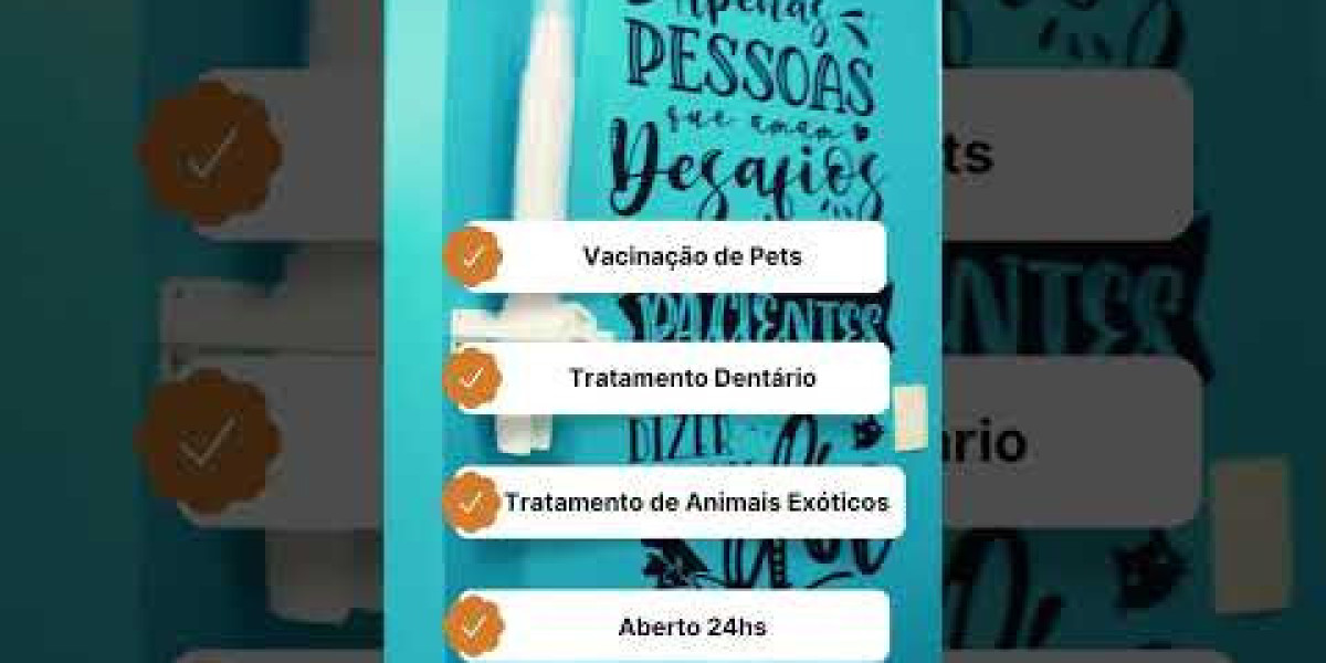 T3 Total Elevado em Gatos: Sinais de Alerta e o Que Você Precisa Saber