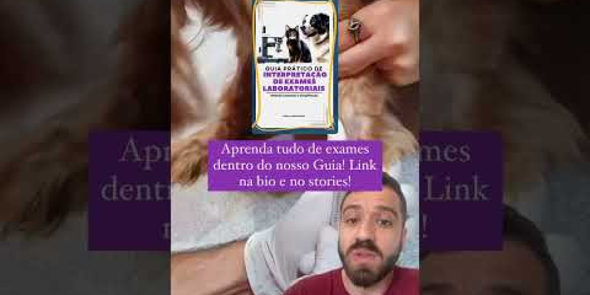 Testes para Doenças Infecciosas em Cães e Gatos: O que Você Precisa Saber sobre o Processo e a Importância