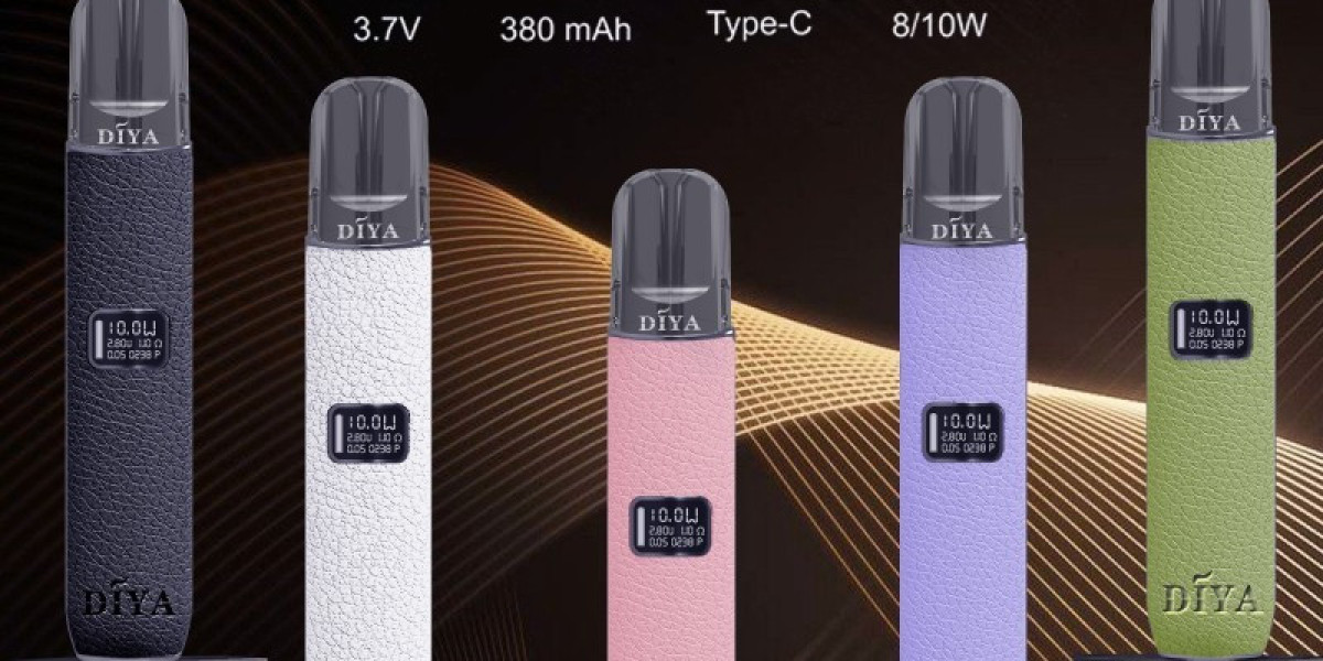 DIYA皮革調主機質感體驗攻略