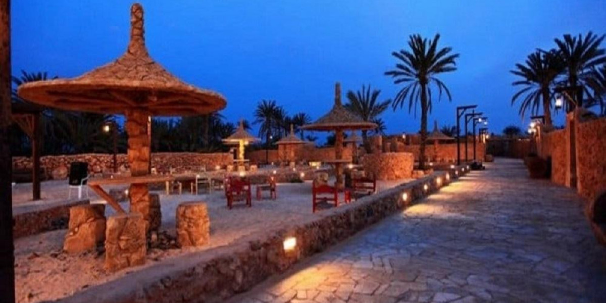 متى تزور فقيه أكواريوم؟ دليل لأفضل الأوقات في العام للزيارة