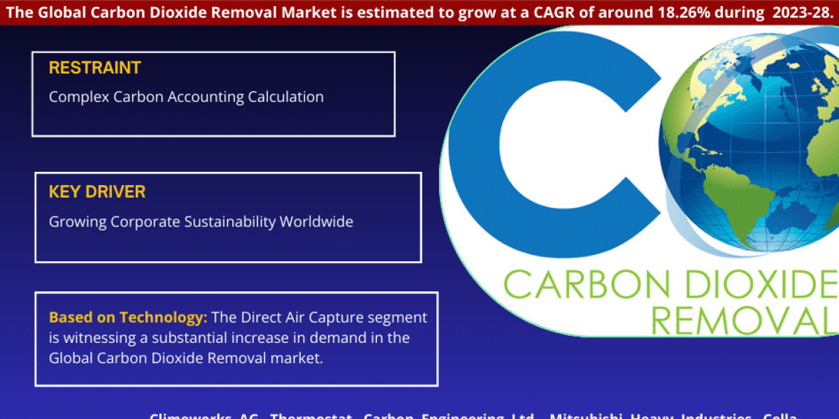 Comprehensive Report Analyzes Carbon Dioxide Removal Market Outlook till 2028