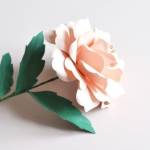 Julia Rodyk