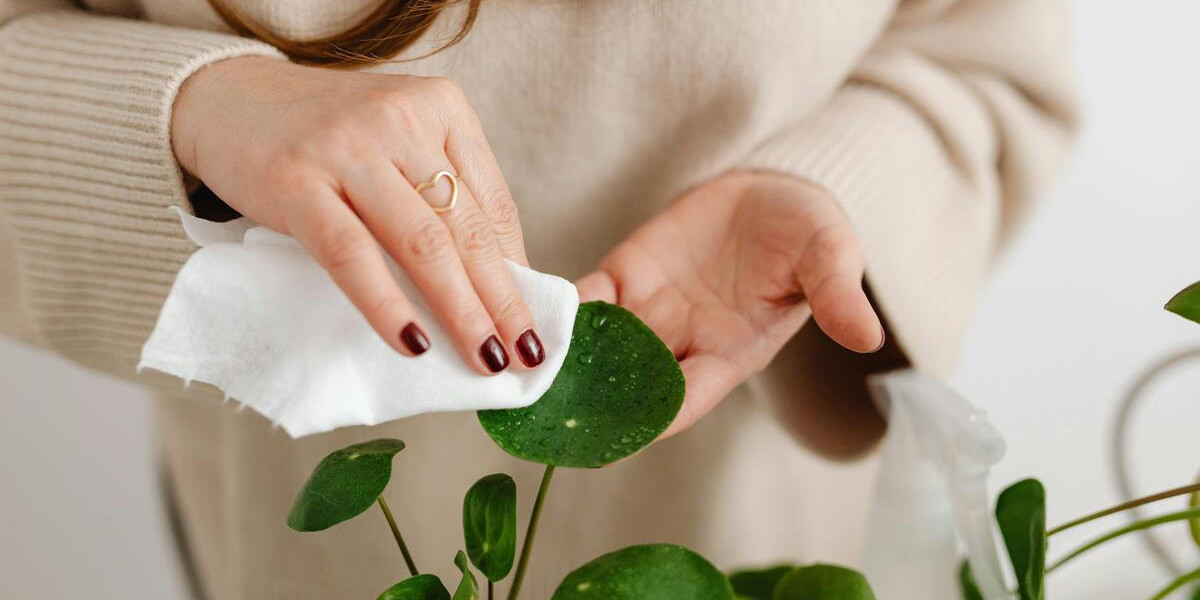 Cleaning Tips and Tricks for Every Day Clean | Dirt2Tidy