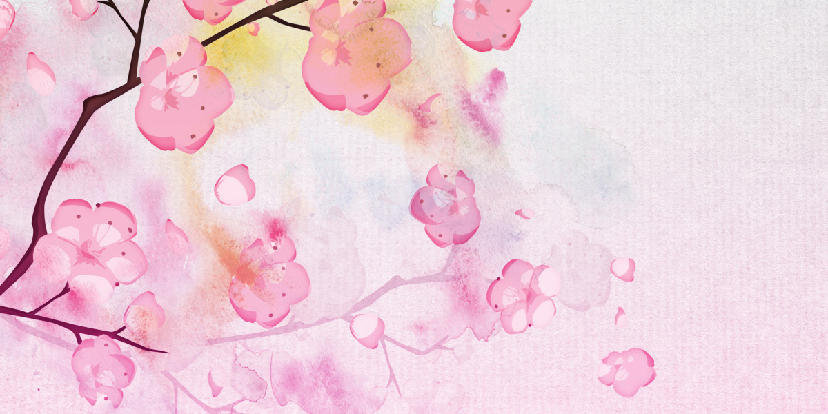 24 Hour Cash Loans No Credit Check: An Summary Of Fast Financing Solutions