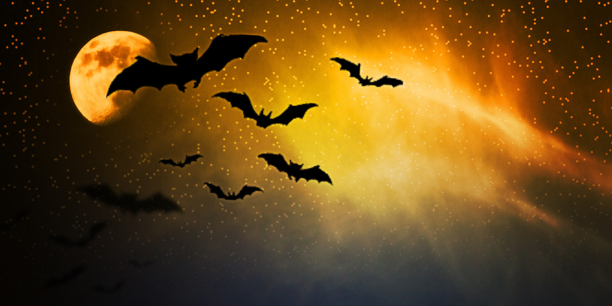 Can You Get Modafinil in Australia?