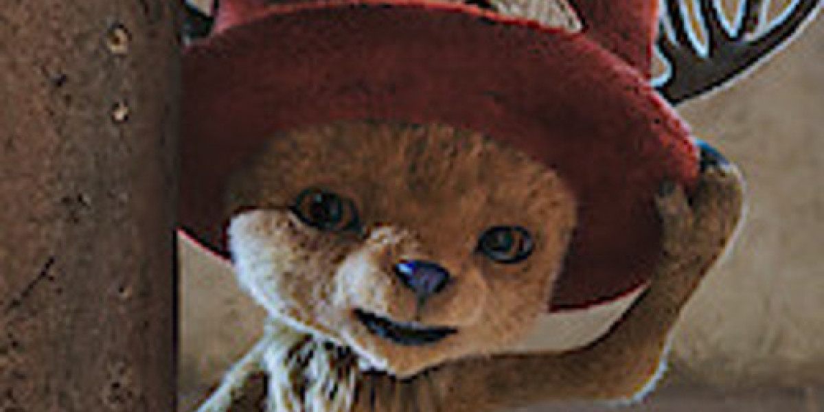 ONE PIECE Voice Cast Reunion – Anime Meets Live Action