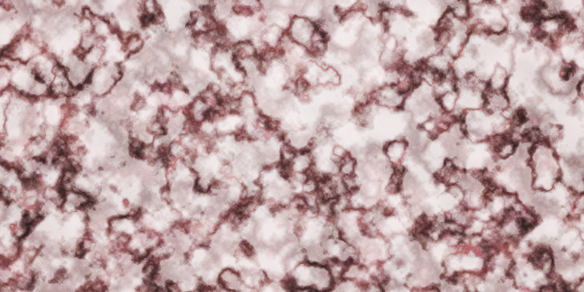 Observational Examine of Aircraft Charter Companies: Tendencies, Operations, And Customer Experience