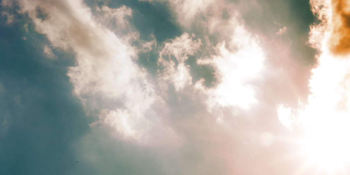 Exploring Loans Without Credit Checks: A Case Research