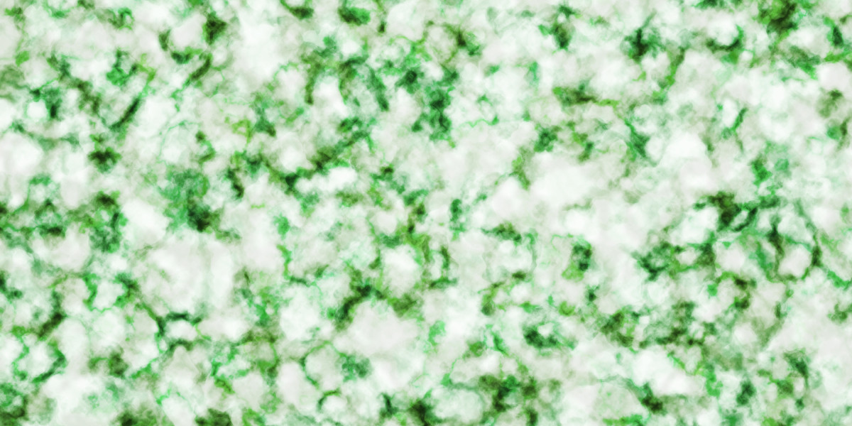 Where to Buy Gold and Silver: A Complete Guide For Traders