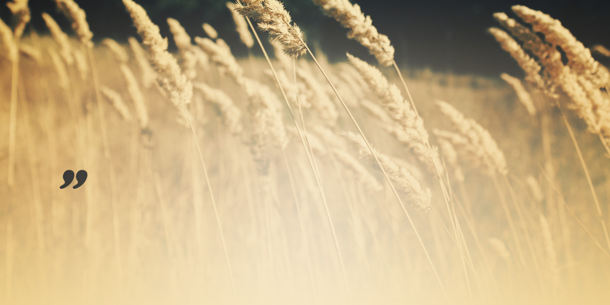 Real Gold For Sale: A Timeless Funding Opportunity Awaits