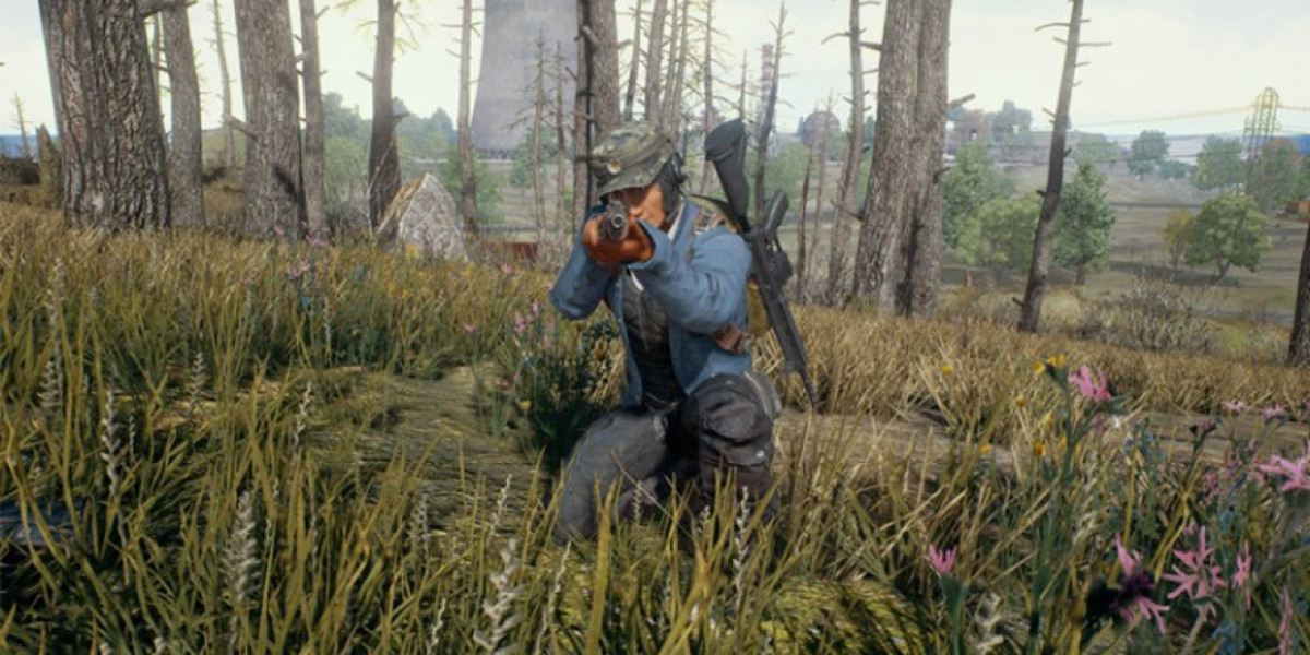 PlayerUnknown's Battlegrounds — успех и влияние