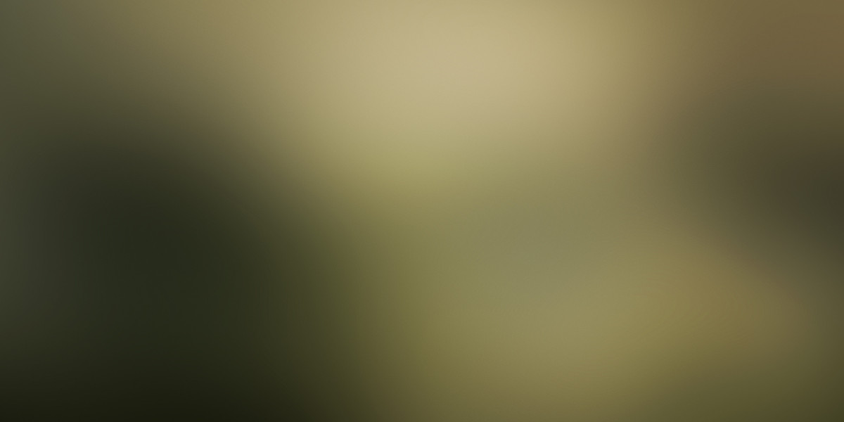 Understanding the Prices Of Uber Jets: A Complete Case Examine