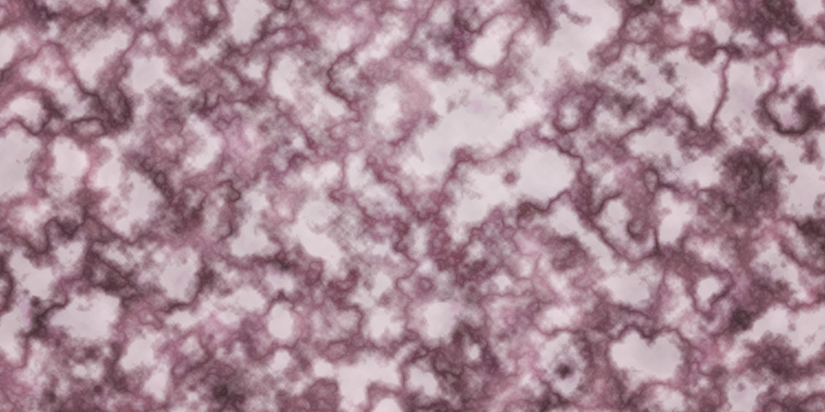 Understanding $3000 Loans With No Credit Check: An Observational Research