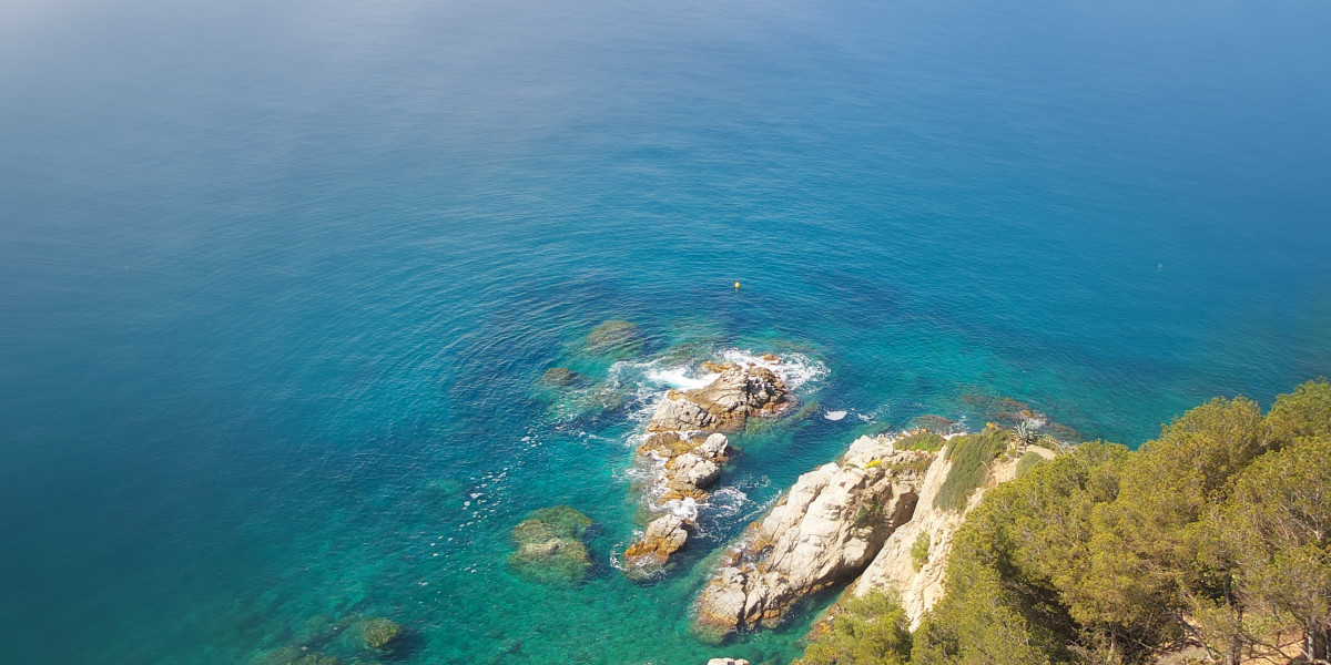 Understanding Money Advance Loans On-line: No Credit Check Choices