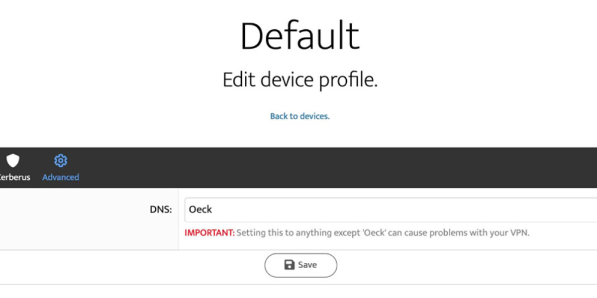 Oeck VPN Discontinued: Features & Security Overview