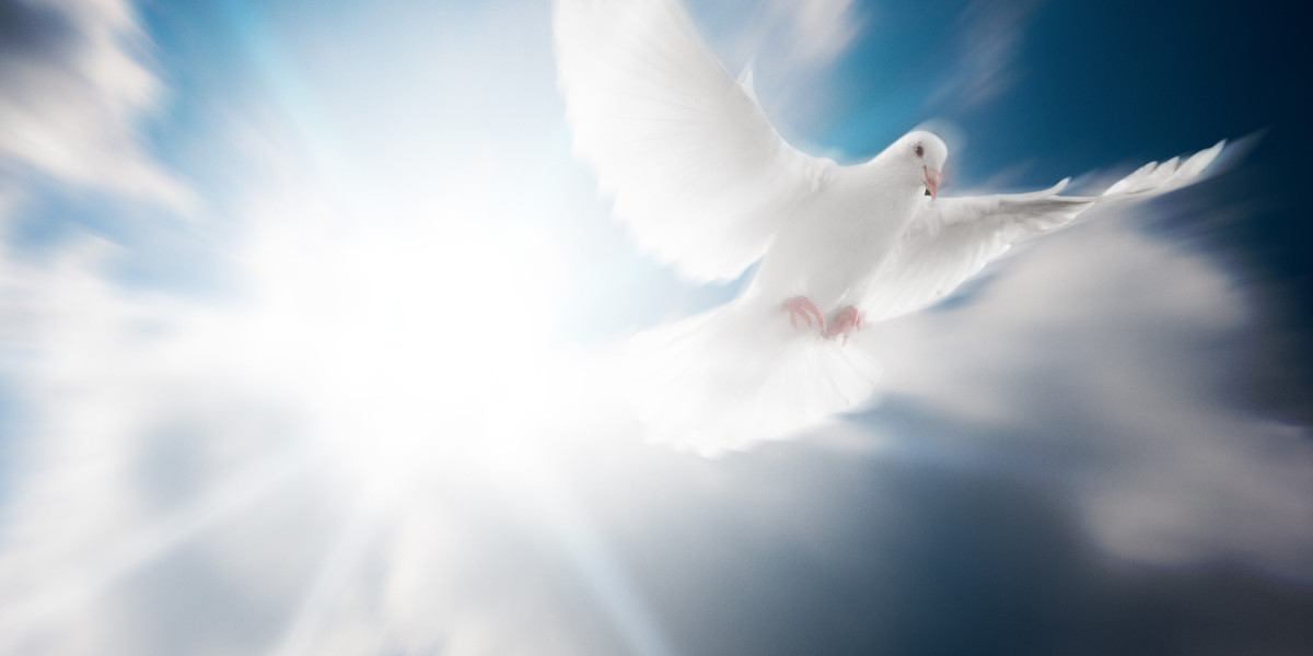 Understanding Group Charter Flights: A Comprehensive Overview