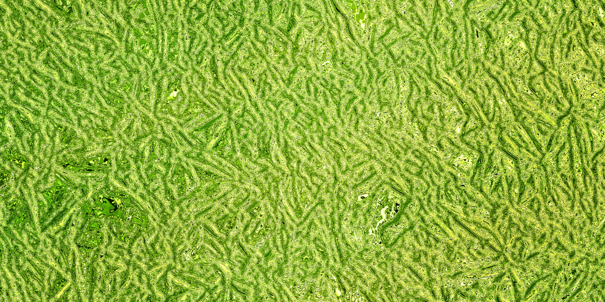 Investing In Gold Coins: A Complete Information