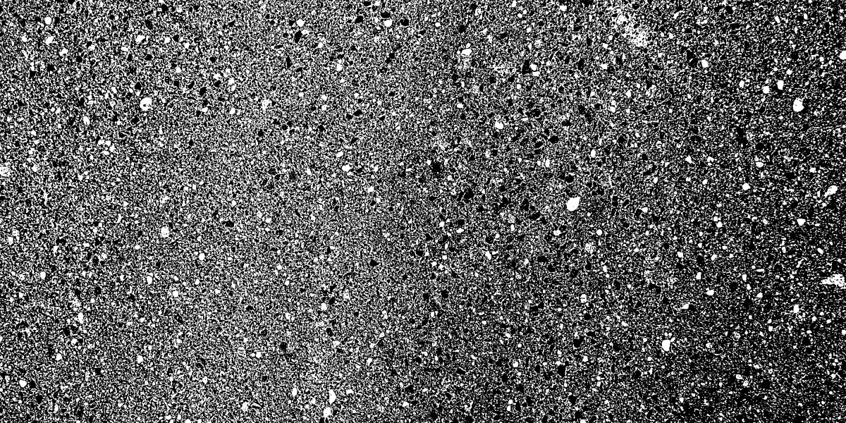 Understanding $3000 Loans With No Credit Check: An Observational Research