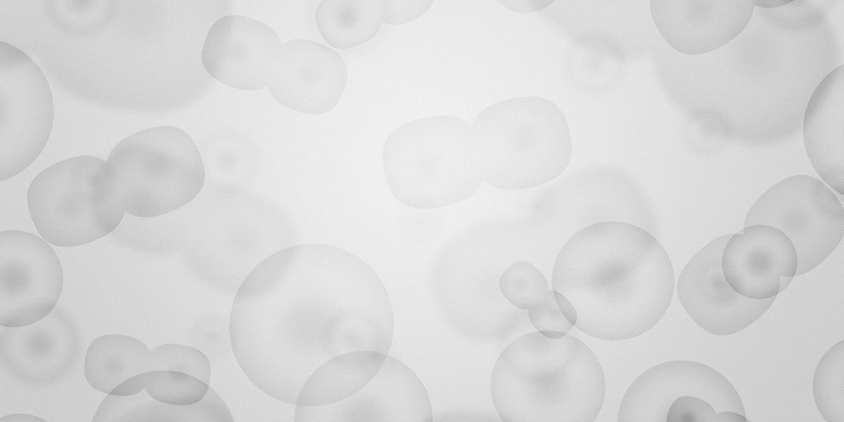 Revolutionizing Travel: The Rise Of Empty Leg Flights