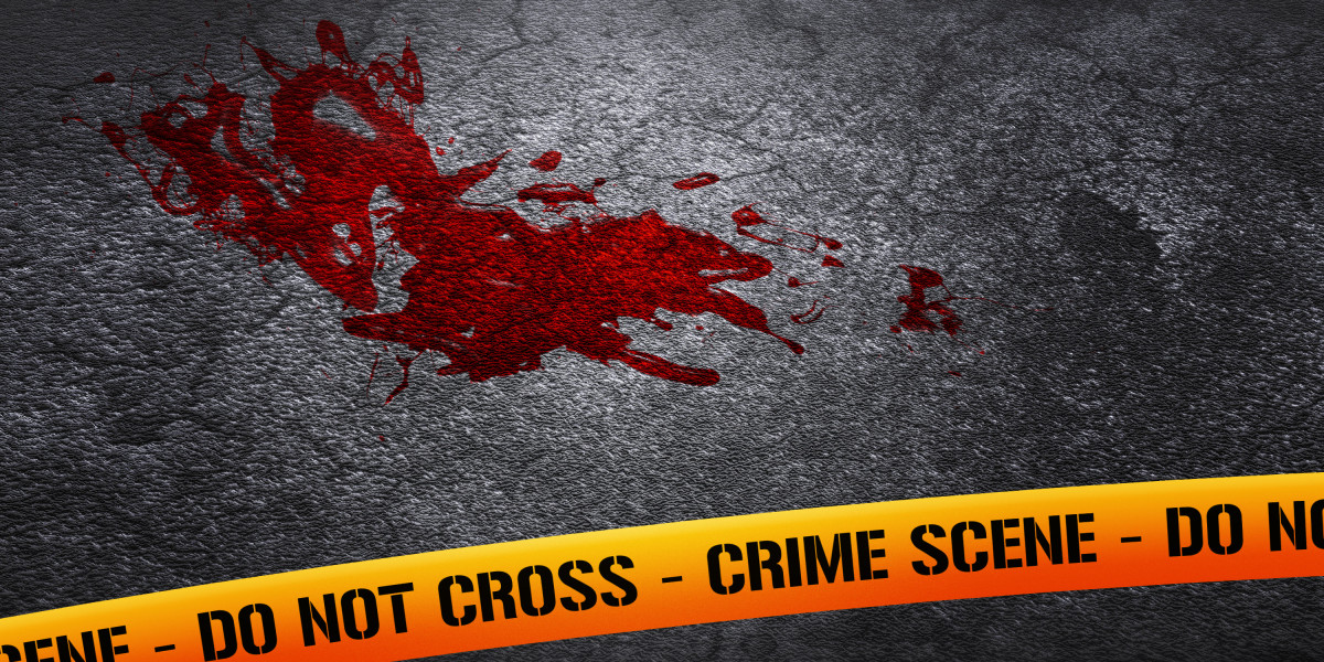 The Rise of Private Plane Rentals: A new Period In Journey