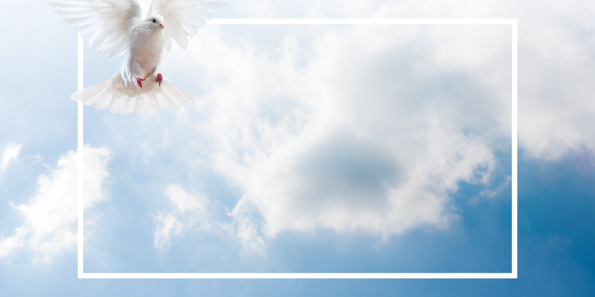 Exploring $5000 Personal Loans for Bad Credit: Opportunities And Challenges