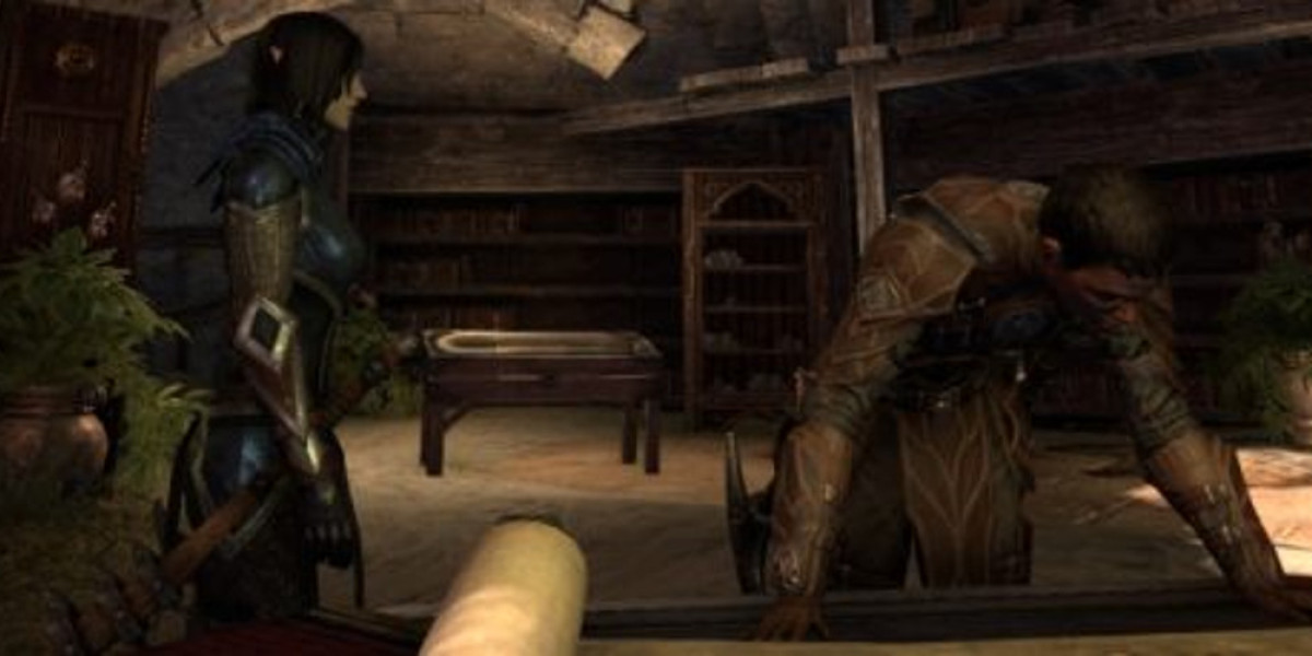 MMORPG Character Creation: Realism vs. Customization